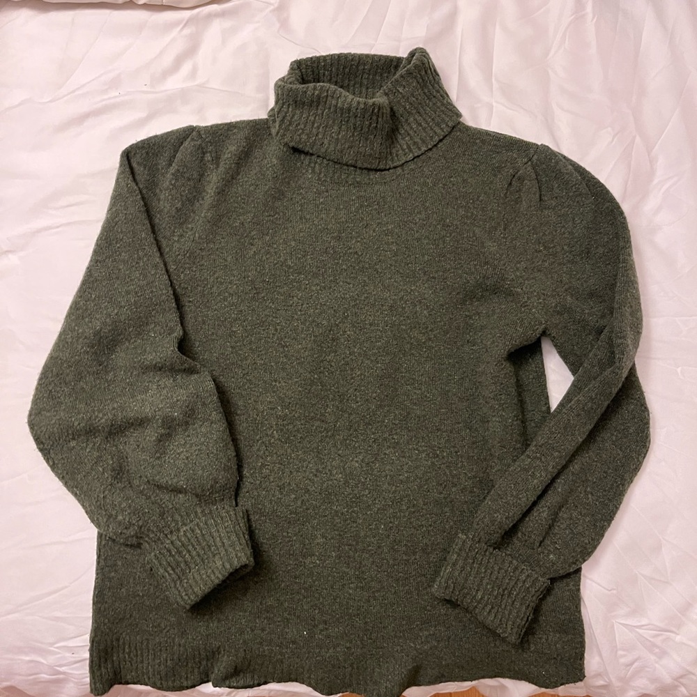 JCrew Turtleneck Sweater